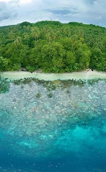 A lush, tropical island is fringed by a coral reef in the Solomon Islands. This beautiful country is home to spectacular marine biodiversity