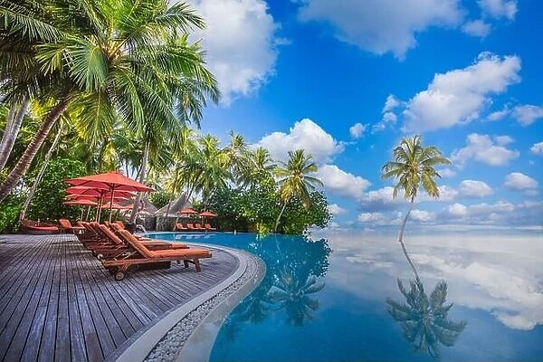 Luxurious beach resort with swimming pool seaside beach chairs or loungers under umbrellas with palm trees and blue sky. Summer travel hotel vacation