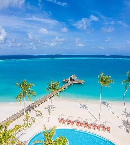 Luxury bay and beach from aerial top view, amazing beachfront, swimming pool on tropical island beach. Palm trees in sunlight, beautiful blue ocean