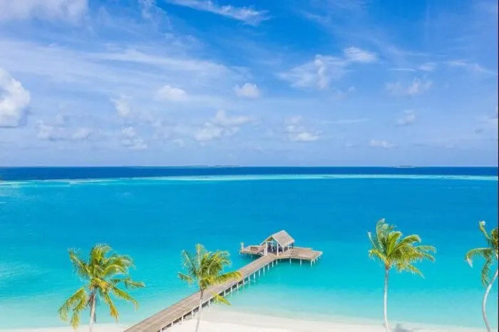 Framed Print : Luxury bay and beach from aerial top view, amazing beachfront, swimming pool on tropical island beach. Palm trees in sunlight, beautiful blue ocean Framed Print : Luxury bay and beach from aerial top view, amazing beachfront, swimming pool on tropical island beach. Palm trees in sunlight, beautiful blue ocean