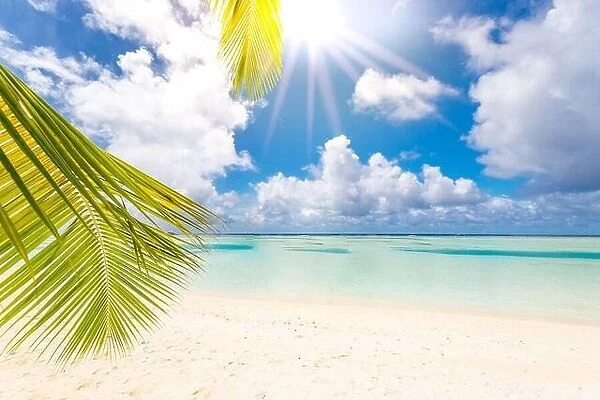 Luxury on beach. Amazing seascape, palm leaves under blue sky with sun rays. Tropical landscape, shore, coast. Idyllic island resort vacation holiday