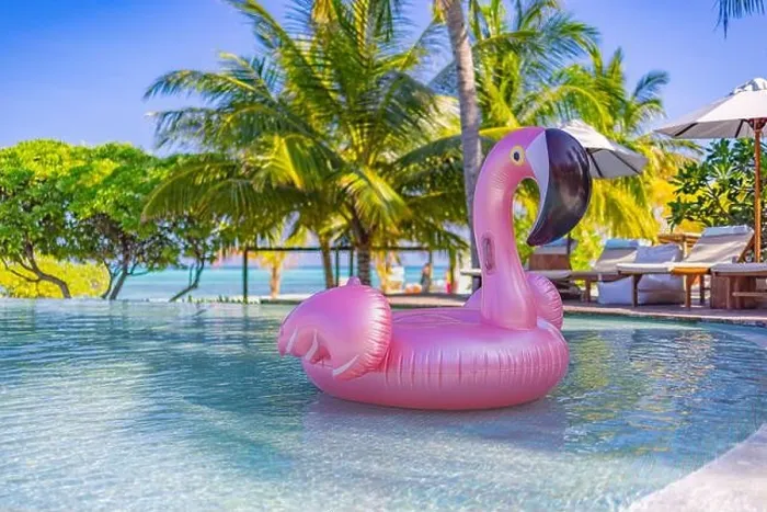 Framed Print : Luxury resort swimming pool with floating swan with blue sky and palm trees. Chairs, beds under umbrella, summer fun happy mood. Hotel pool, relax