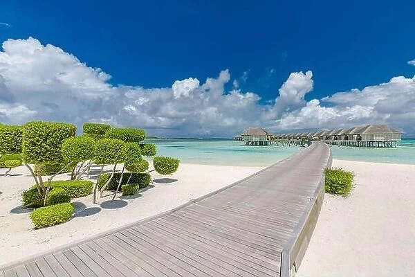 Luxury summer travel landscape in Maldives islands. Exotic beach background. Summer tourist tourism, vacation destination concept