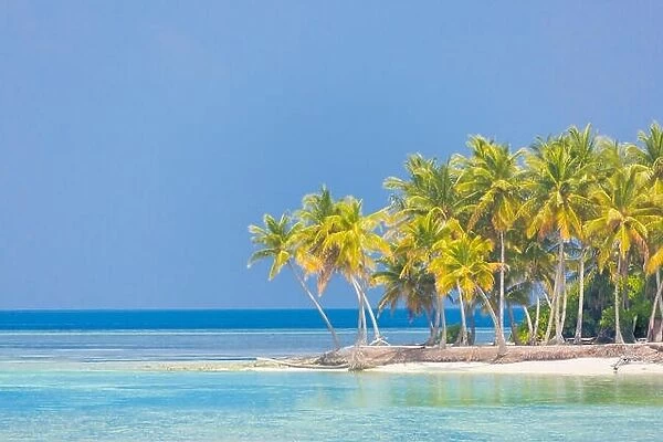 Luxury summer vacation and holiday concept background. Summer beach nature and tropical island banner