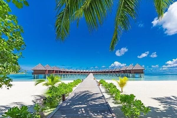 Luxury travel destination. Amazing summer beach landscape, water villas under palm trees, white sand and blue sky. Idyllic vacation leisure holiday
