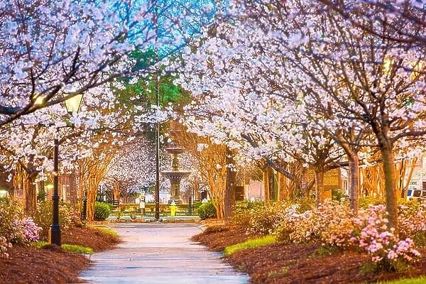 Macon, Georgia, USA downtown square in spring
