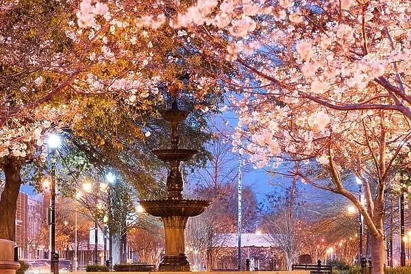 Macon, Georgia, USA downtown square in spring season with the fountain