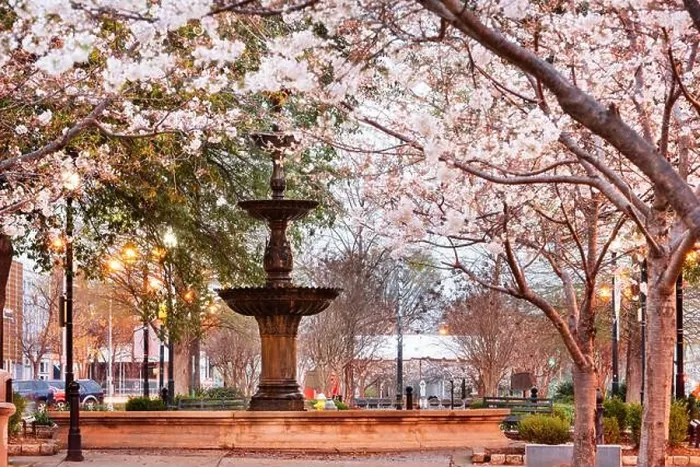 Framed Print : Macon, Georgia, USA downtown square in spring season with the fountain Framed Print : Macon, Georgia, USA downtown square in spring season with the fountain
