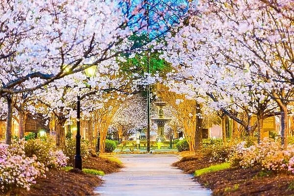 Macon, Georgia, USA in the spring