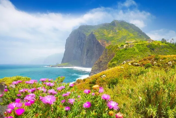Framed Print : Madeira - landscape with flowers and cliff coastline near Ponta Delgada, Madeira Island, Portugal Framed Print : Madeira - landscape with flowers and cliff coastline near Ponta Delgada, Madeira Island, Portugal