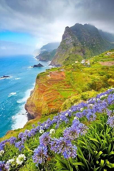Madeira - landscape with flowers near Ponta Delgada, Madeira Island, Portugal