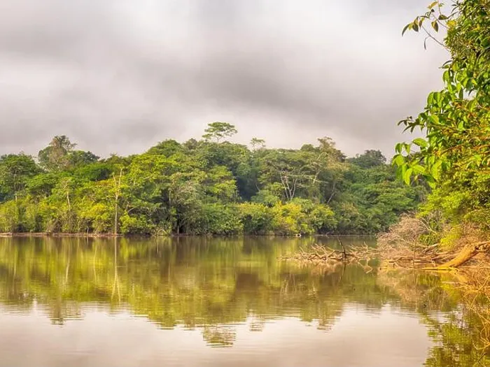 Framed Print : Magic Amazonia. View of the green jungle on the bank of lagoon in the Amazon rainforest Framed Print : Magic Amazonia. View of the green jungle on the bank of lagoon in the Amazon rainforest