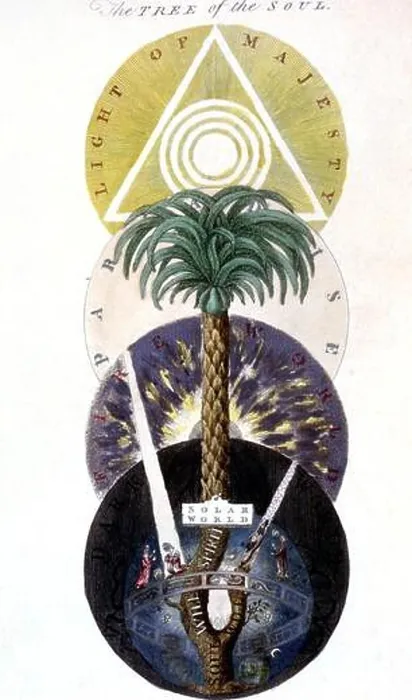 Framed Print : Magic Symbols Tree of the Soul The soul tree according of the Rosicrucian Jacob Boehme Hand coloured print based Framed Print : Magic Symbols Tree of the Soul The soul tree according of the Rosicrucian Jacob Boehme Hand coloured print based