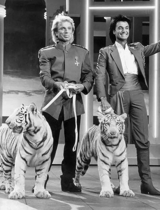 Framed Print : The two magicians Siegfried and Roy with their tigers Framed Print : The two magicians Siegfried and Roy with their tigers