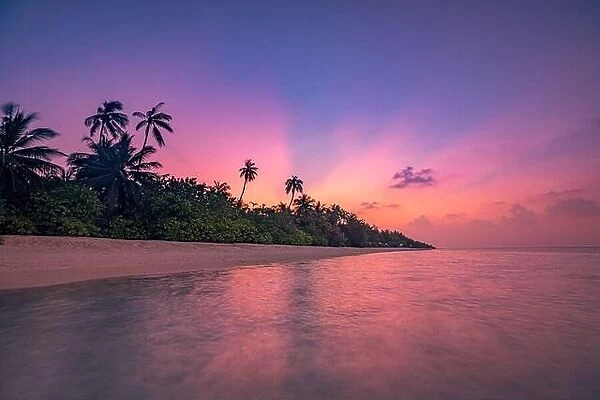 Majestic sunset island beach. Tropical scenic summer landscape. Beautiful natural seaside. Exotic tranquil sand coast sunrise colorful sky, sun rays