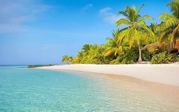 Maldives Beach landscape