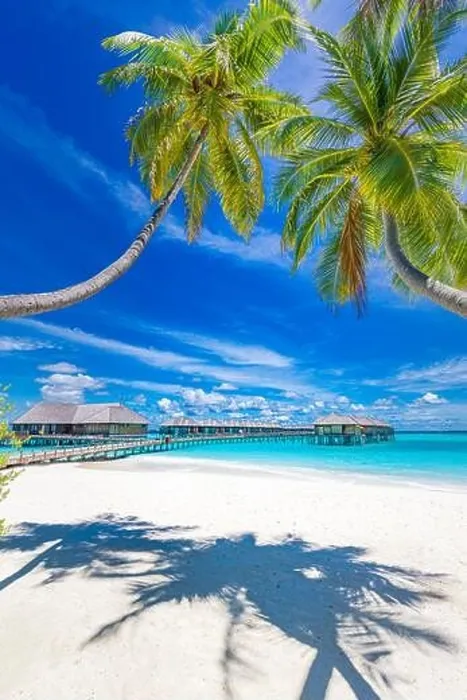 Framed Print : Maldives beach resort panoramic landscape. Tropical vacation beach. Long wooden pier, jetty into paradise island, palm trees, white sand, blue sky Framed Print : Maldives beach resort panoramic landscape. Tropical vacation beach. Long wooden pier, jetty into paradise island, palm trees, white sand, blue sky