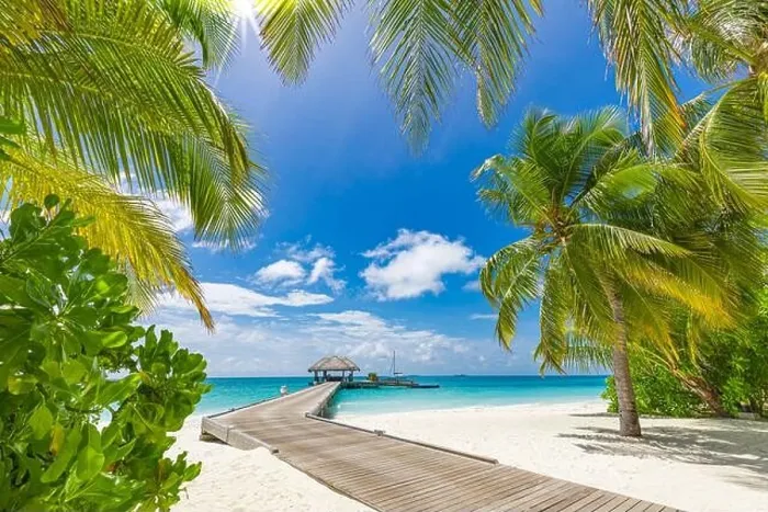 Framed Print : Maldives beach resort panoramic landscape. Tropical vacation beach. Long wooden pier, jetty into paradise island, palm trees, white sand, blue sky Framed Print : Maldives beach resort panoramic landscape. Tropical vacation beach. Long wooden pier, jetty into paradise island, palm trees, white sand, blue sky