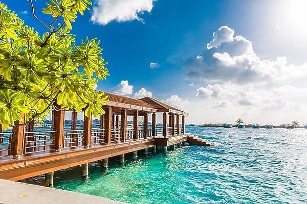 Maldives dock and airport area for tourists in a sunny day. Luxury dock or port in Maldives with mangrove with azure lagoon