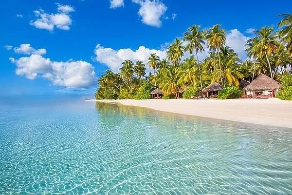 Maldives island beach. Tropical landscape of summer scenery, white sand with palm trees. Luxury travel vacation destination. Exotic beach landscape