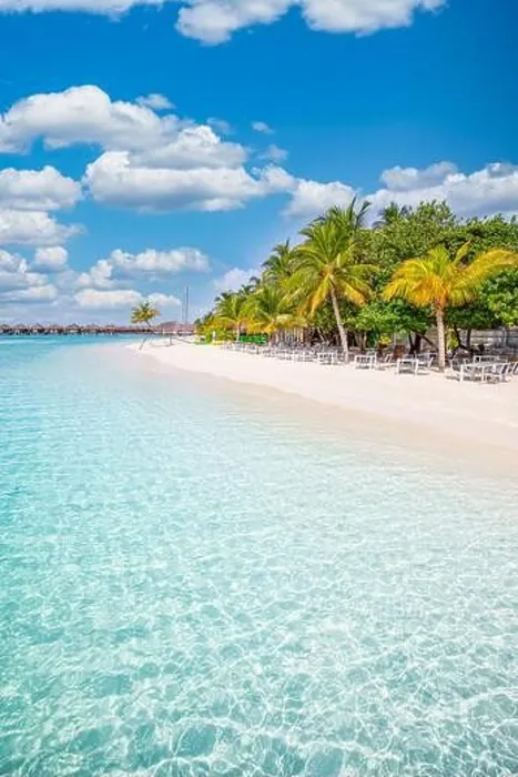 Framed Print : Maldives island beach. Tropical landscape of summer scenery, white sand with palm trees. Luxury travel vacation destination. Exotic beach landscape Framed Print : Maldives island beach. Tropical landscape of summer scenery, white sand with palm trees. Luxury travel vacation destination. Exotic beach landscape