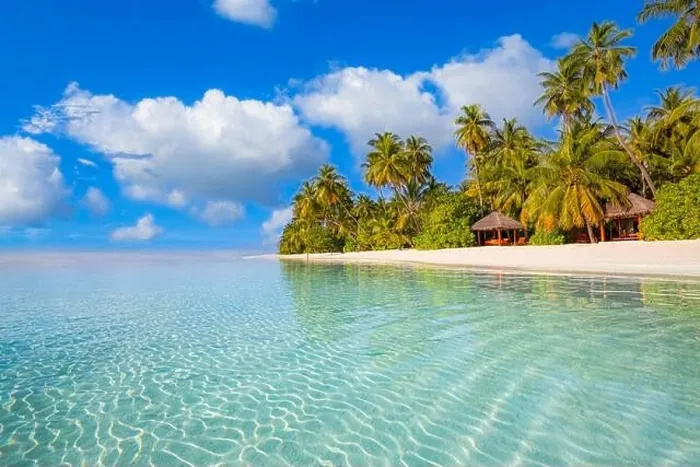 Framed Print : Maldives island beach. Tropical landscape of summer scenery, white sand with palm trees. Luxury travel vacation destination. Exotic beach landscape Framed Print : Maldives island beach. Tropical landscape of summer scenery, white sand with palm trees. Luxury travel vacation destination. Exotic beach landscape