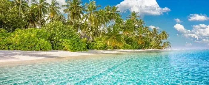 Framed Print : Maldives island beach. Tropical landscape of summer scenery, white sand with palm trees. Luxury travel vacation destination. Exotic beach landscape Framed Print : Maldives island beach. Tropical landscape of summer scenery, white sand with palm trees. Luxury travel vacation destination. Exotic beach landscape