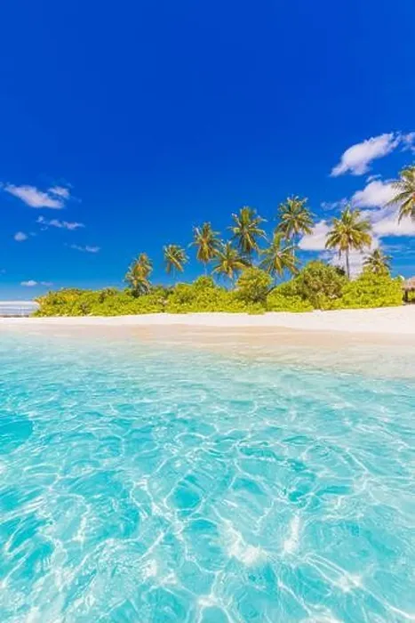 Framed Print : Maldives island beach. Tropical landscape of summer scenery, white sand with palm trees. Luxury travel vacation destination. Exotic beach landscape