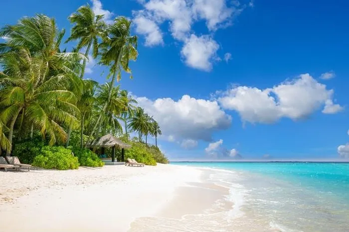 Framed Print : Maldives island beach. Tropical landscape of summer scenery, white sand with palm trees. Luxury travel vacation destination. Exotic beach landscape Framed Print : Maldives island beach. Tropical landscape of summer scenery, white sand with palm trees. Luxury travel vacation destination. Exotic beach landscape