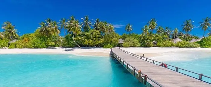 Framed Print : Maldives island beach. Tropical landscape of summer scenery, white sand with palm trees. Luxury travel vacation destination. Amazing beach landscape Framed Print : Maldives island beach. Tropical landscape of summer scenery, white sand with palm trees. Luxury travel vacation destination. Amazing beach landscape