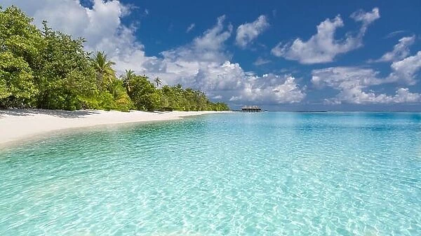 Maldives island landscape, perfect scenery with palm trees, calm blue sea and tranquil exotic nature environment. Amazing vacation and travel banner
