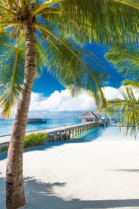 Framed Print : Maldives island, luxury water villas resort and wooden pier. Beautiful sky and clouds and beach background for summer vacation holiday and travel Framed Print : Maldives island, luxury water villas resort and wooden pier. Beautiful sky and clouds and beach background for summer vacation holiday and travel