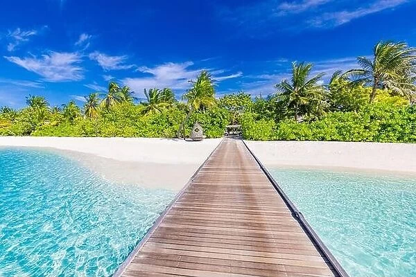 Maldives island perfect beach, long wooden jetty into beautiful paradise tropical landscape. Exotic nature, luxury summer travel vacation destination
