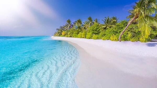 Maldives paradise beach. Perfect tropical island. Beautiful palm trees and tropical beach. Moody blue sky and blue lagoon. Luxury summer holiday