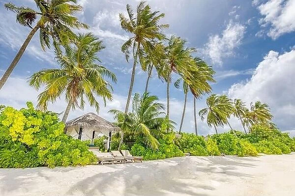 Maldives paradise tropical beach. Amazing view, blue turquoise lagoon water, palm trees and white sandy beach. Luxury travel vacation destination