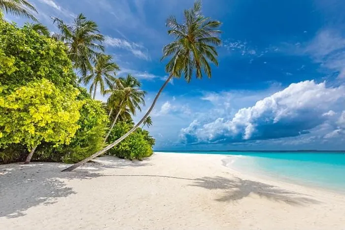 Framed Print : Maldives paradise tropical beach. Amazing view, blue turquoise lagoon water, palm trees and white sandy beach. Luxury travel vacation destination Framed Print : Maldives paradise tropical beach. Amazing view, blue turquoise lagoon water, palm trees and white sandy beach. Luxury travel vacation destination