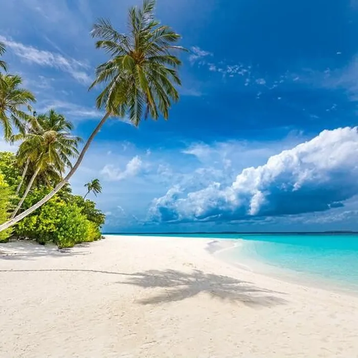 Framed Print : Maldives paradise tropical beach. Amazing view, blue turquoise lagoon water, palm trees and white sandy beach. Luxury travel vacation destination Framed Print : Maldives paradise tropical beach. Amazing view, blue turquoise lagoon water, palm trees and white sandy beach. Luxury travel vacation destination