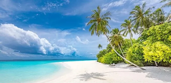 Framed Print : Maldives paradise tropical beach. Amazing view, blue turquoise lagoon water, palm trees and white sandy beach. Luxury travel vacation destination Framed Print : Maldives paradise tropical beach. Amazing view, blue turquoise lagoon water, palm trees and white sandy beach. Luxury travel vacation destination