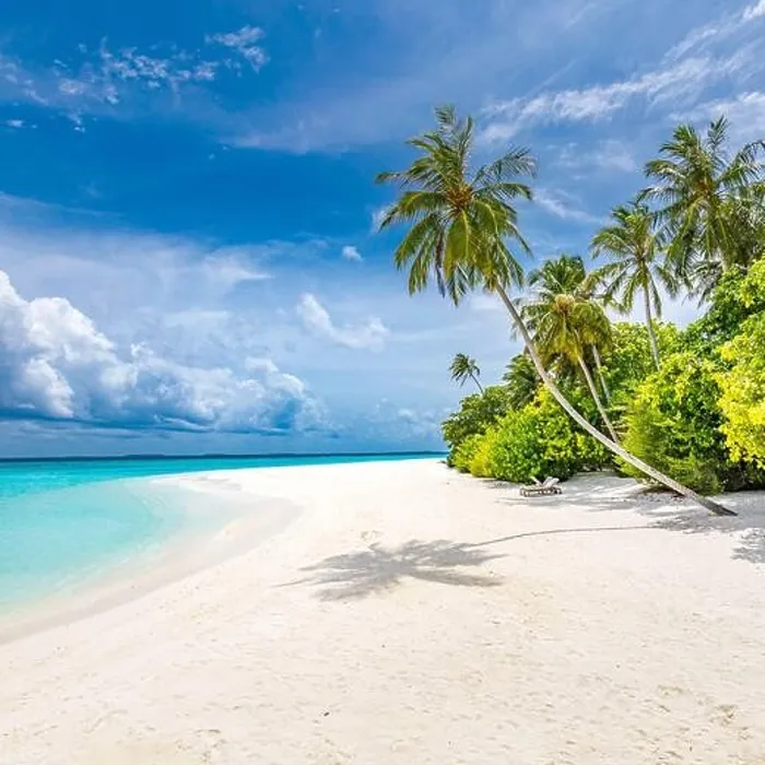 Framed Print : Maldives paradise tropical beach. Amazing view, blue turquoise lagoon water, palm trees and white sandy beach. Luxury travel vacation destination Framed Print : Maldives paradise tropical beach. Amazing view, blue turquoise lagoon water, palm trees and white sandy beach. Luxury travel vacation destination