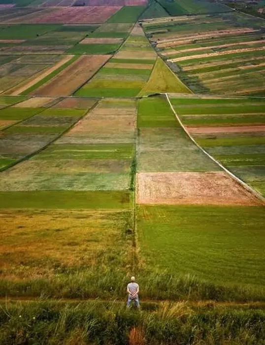 Framed Print : Man on colorful fields in shape of arrow, Kurpie, Poland Framed Print : Man on colorful fields in shape of arrow, Kurpie, Poland