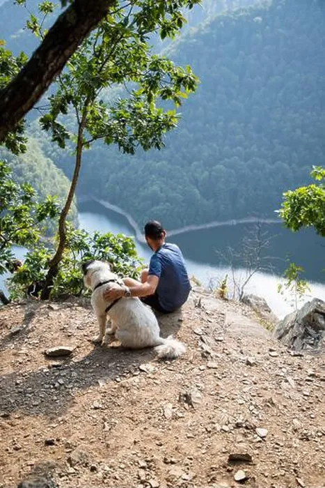 Framed Print : man and dog on mountain top overlooking a lake