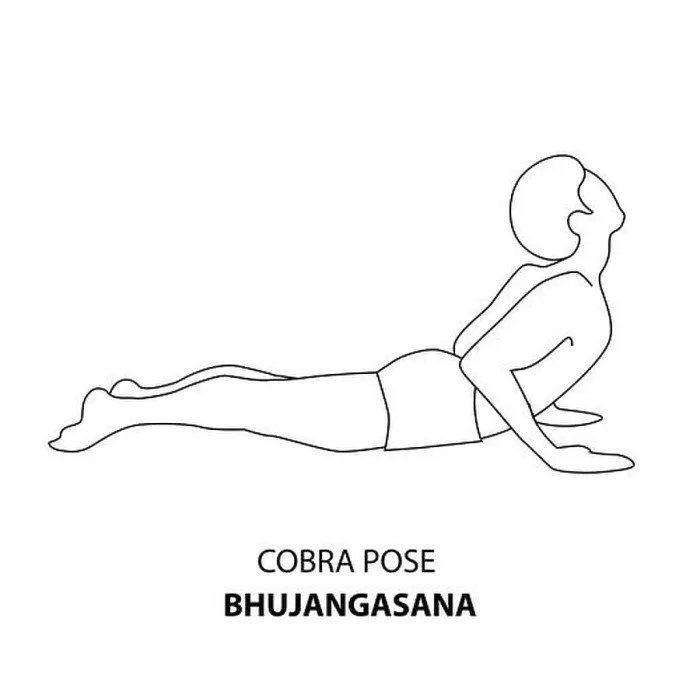 Framed Print : Man practicing yoga pose isolated outline Illustration. Man standing in Cobra Pose or Bhujangasana, Yoga Asana line icon Framed Print : Man practicing yoga pose isolated outline Illustration. Man standing in Cobra Pose or Bhujangasana, Yoga Asana line icon