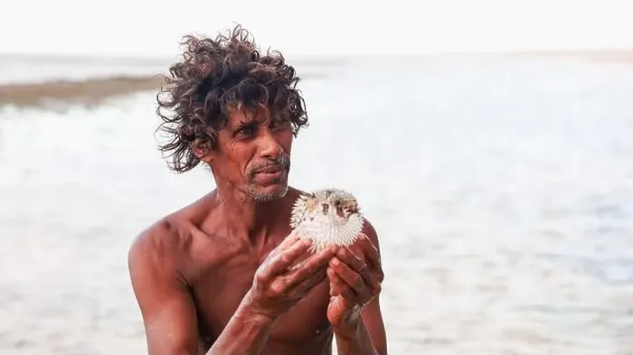 Framed Print : A man shows a pufferfish he has caught along the shores of Socotra, highlighting the rich marine biodiversity Framed Print : A man shows a pufferfish he has caught along the shores of Socotra, highlighting the rich marine biodiversity