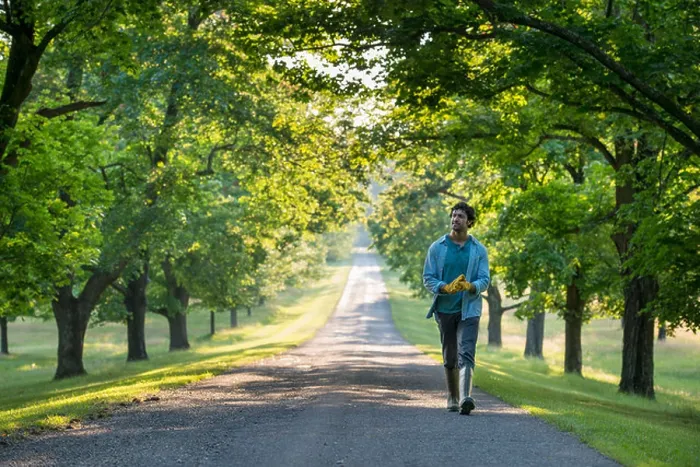 Framed Print : A man walking down a tree lined path Framed Print : A man walking down a tree lined path