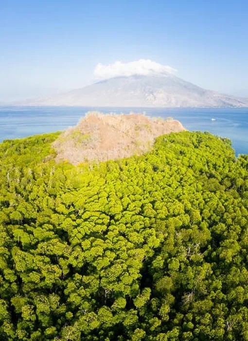Framed Print : A mangrove forest fringes an island near the volcano of Iliape in the Lesser Sunda Islands, east of Flores. This area is high in marine biodiversity Framed Print : A mangrove forest fringes an island near the volcano of Iliape in the Lesser Sunda Islands, east of Flores. This area is high in marine biodiversity
