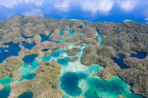 A maze of limestone islands is found in a hidden bay in Raja Ampat, Indonesia. This region is known for its incredible amount of marine biodiversity