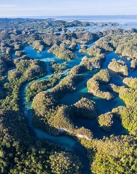 A maze of limestone islands rises from a remote lagoon in the island of Gam, Raja Ampat. This area is home to extraordinary marine biodiversity