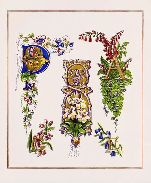 Framed Print : Medieval Alphabet initials Framed Print : Medieval Alphabet initials