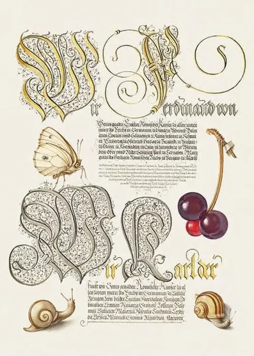 Framed Print : Medieval ornaments. Butterfly, Sweet Cherry and Land Snails Framed Print : Medieval ornaments. Butterfly, Sweet Cherry and Land Snails