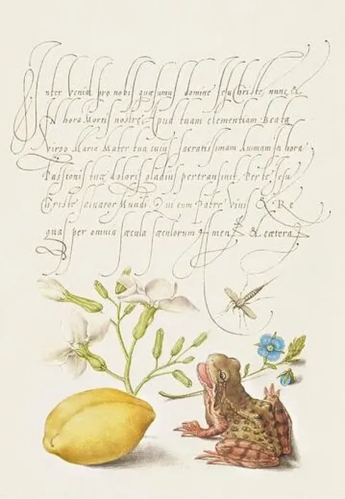 Framed Print : Medieval ornaments. Gillyflower, Insect, Germander, Almond, and Frog Framed Print : Medieval ornaments. Gillyflower, Insect, Germander, Almond, and Frog